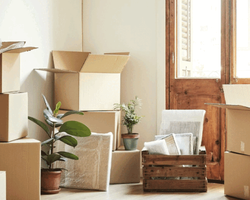 Best movers in abu dhabi