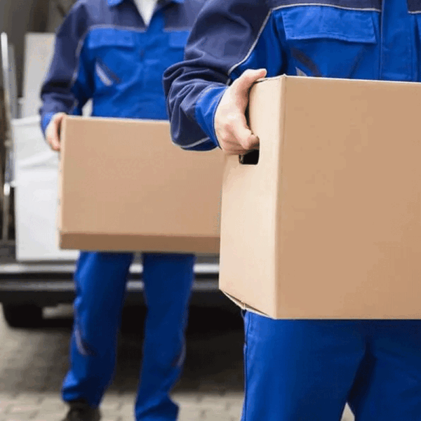 Professional Movers and Packers In Abu Dhabi